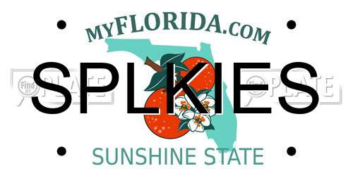 SPLKIES Florida License Plate