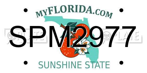 SPM2977 Florida License Plate
