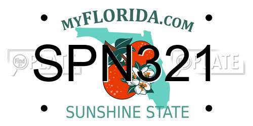 SPN321 Florida License Plate