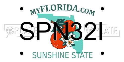 SPN32I Florida License Plate