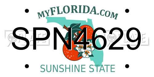 SPN4629 Florida License Plate