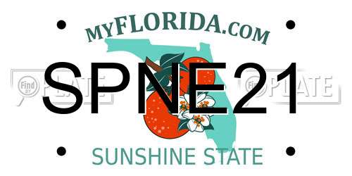 SPNE21 Florida License Plate