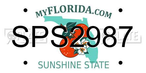 SPS2987 Florida License Plate