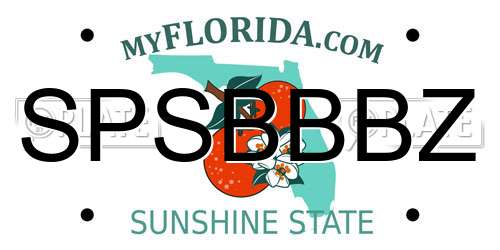 SPSBBBZ Florida License Plate