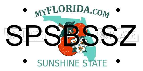 SPSBSSZ Florida License Plate
