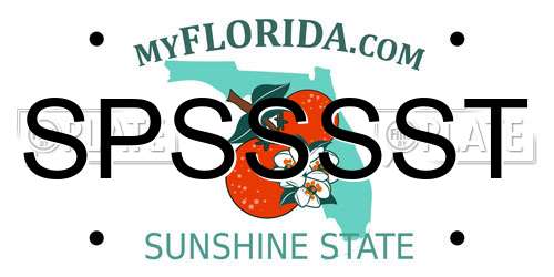 SPSSSST Florida License Plate