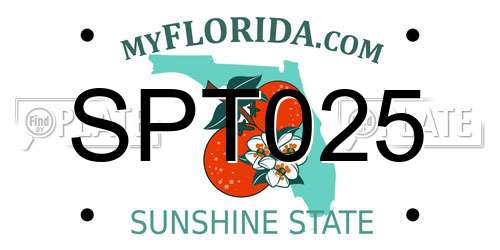 SPT025 Florida License Plate
