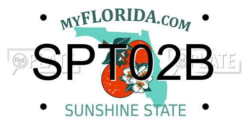 SPT02B Florida License Plate