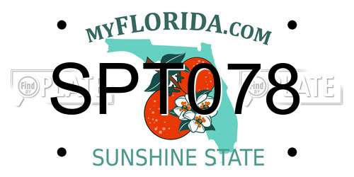 SPT078 Florida License Plate