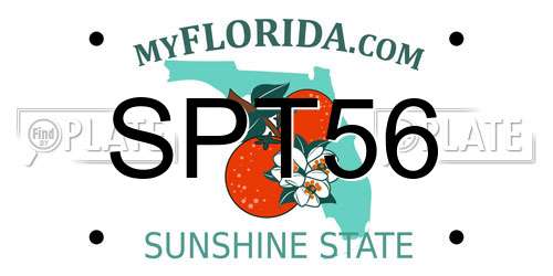SPT56 Florida License Plate