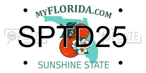 SPTD25 Florida License Plate