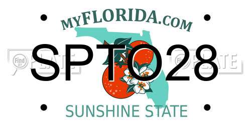 SPTO28 Florida License Plate