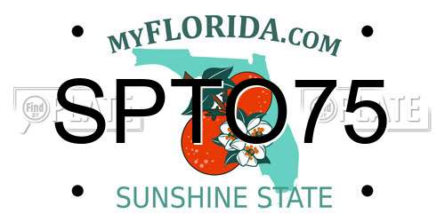 SPTO75 Florida License Plate