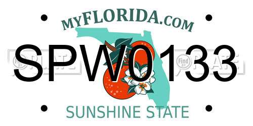 SPW0133 Florida License Plate