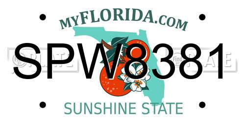 SPW8381 Florida License Plate