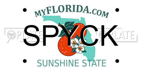 SPYCK Florida License Plate