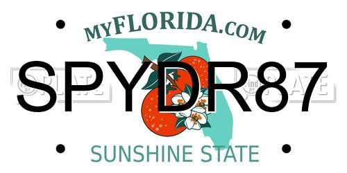 SPYDR87 Florida License Plate