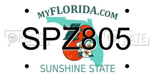 SPZ805 Florida License Plate