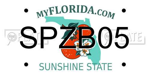 SPZB05 Florida License Plate