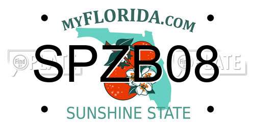 SPZB08 Florida License Plate