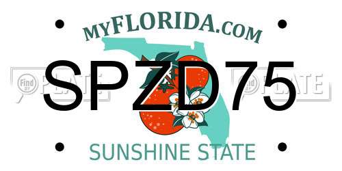 SPZD75 Florida License Plate