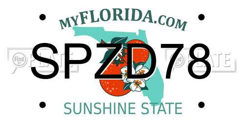 SPZD78 Florida License Plate