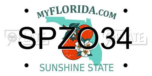 SPZO34 Florida License Plate