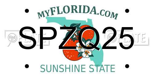 SPZQ25 Florida License Plate