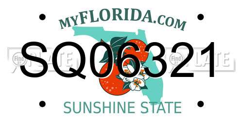 SQ06321 Florida License Plate