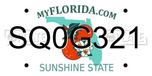SQ0G321 Florida License Plate