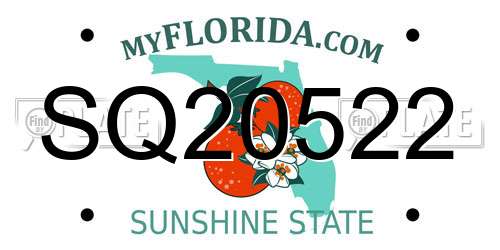 SQ20522 Florida License Plate