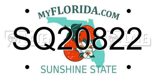 SQ20822 Florida License Plate