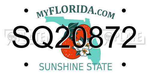SQ20872 Florida License Plate