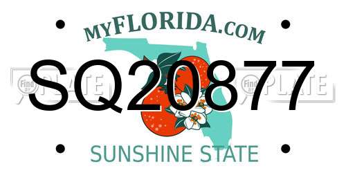 SQ20877 Florida License Plate