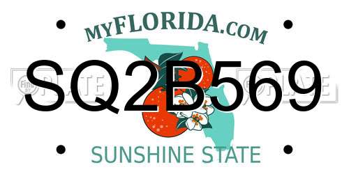SQ2B569 Florida License Plate