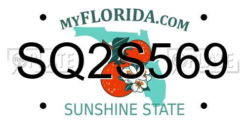 SQ2S569 Florida License Plate