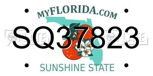 SQ37823 Florida License Plate