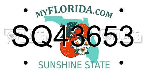 SQ43653 Florida License Plate