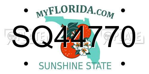 SQ44770 Florida License Plate