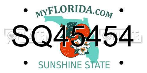SQ45454 Florida License Plate