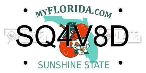 SQ4V8D Florida License Plate