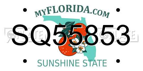 SQ55853 Florida License Plate