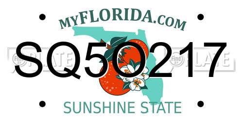 SQ5O217 Florida License Plate