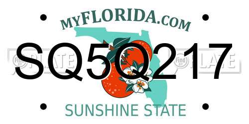 SQ5Q217 Florida License Plate