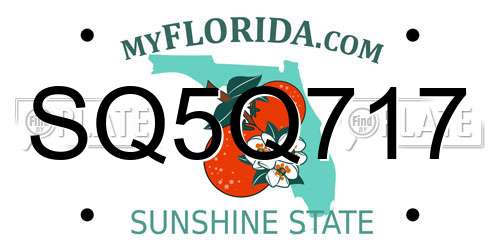 SQ5Q717 Florida License Plate