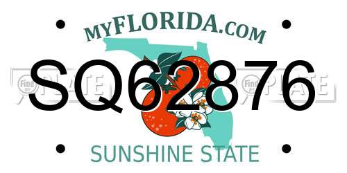 SQ62876 Florida License Plate