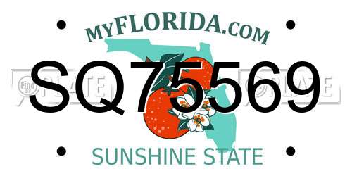 SQ75569 Florida License Plate