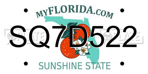 SQ7D522 Florida License Plate