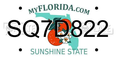 SQ7D822 Florida License Plate