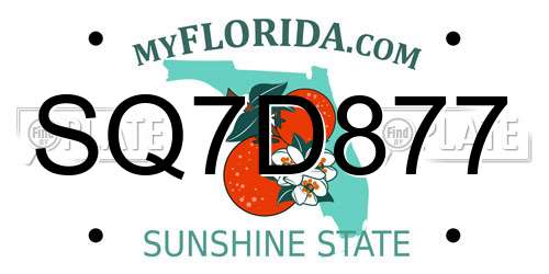 SQ7D877 Florida License Plate